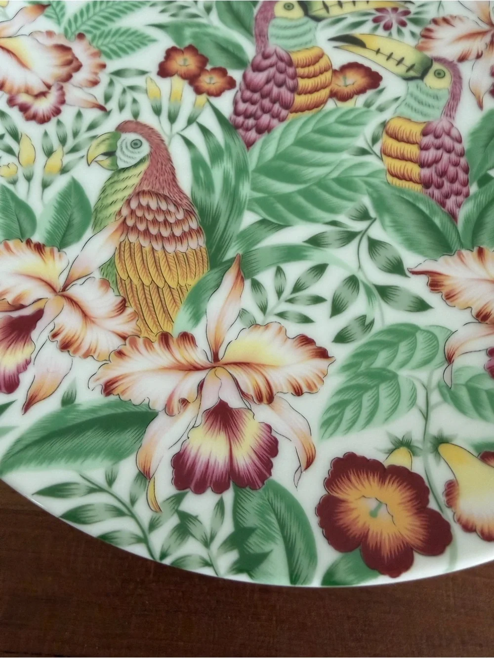 Andrea by Sadek Tropical Motif Plates Parrots Toucans 7.5” Set of 4